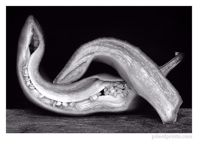 Sliced pepper - homage to Edward Weston.