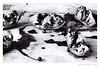 rivertext > A pomegranate that I sliced and photographed while listening to the 2nd Clash album.