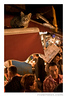 rivertext > Portrait of a cat who hangs out on an awning overlooking the fish market walk.