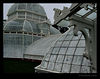 rivertext > Shot taken while waiting, on a cold winter morning, for the Conservatory to open.