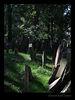 rivertext > As they were not allowed to expand their cemetary Jews were buried 9 deep. This hill was created as the dead were covered up with earth brought in from outside.